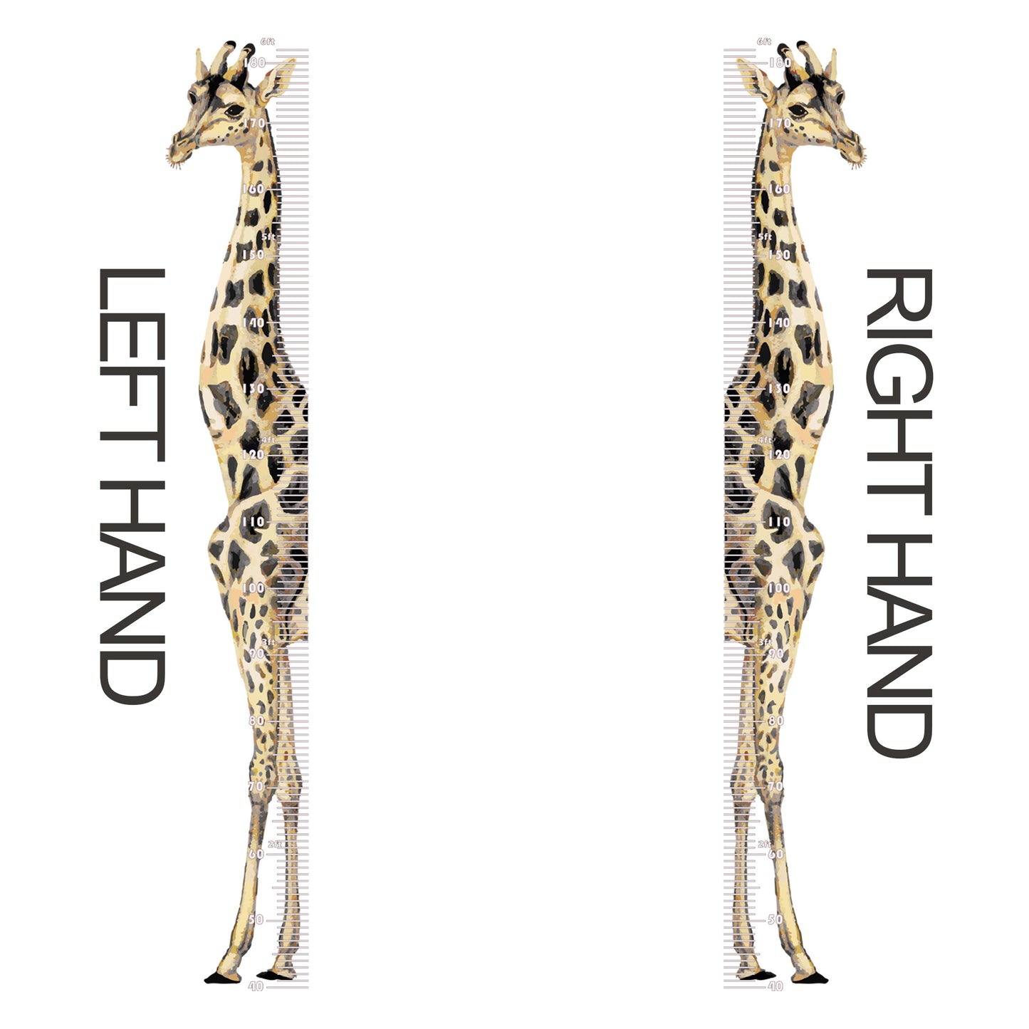 Giraffe height chart
