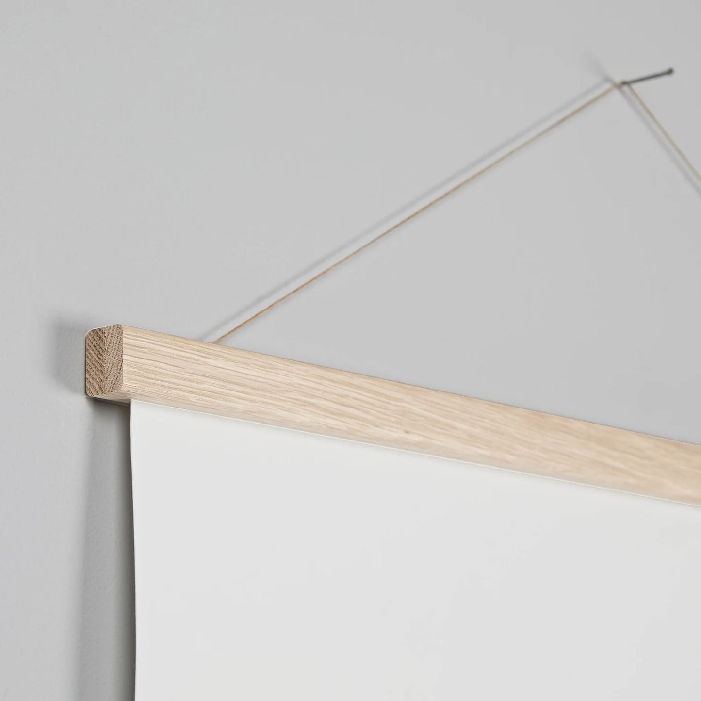 Forest animal height chart