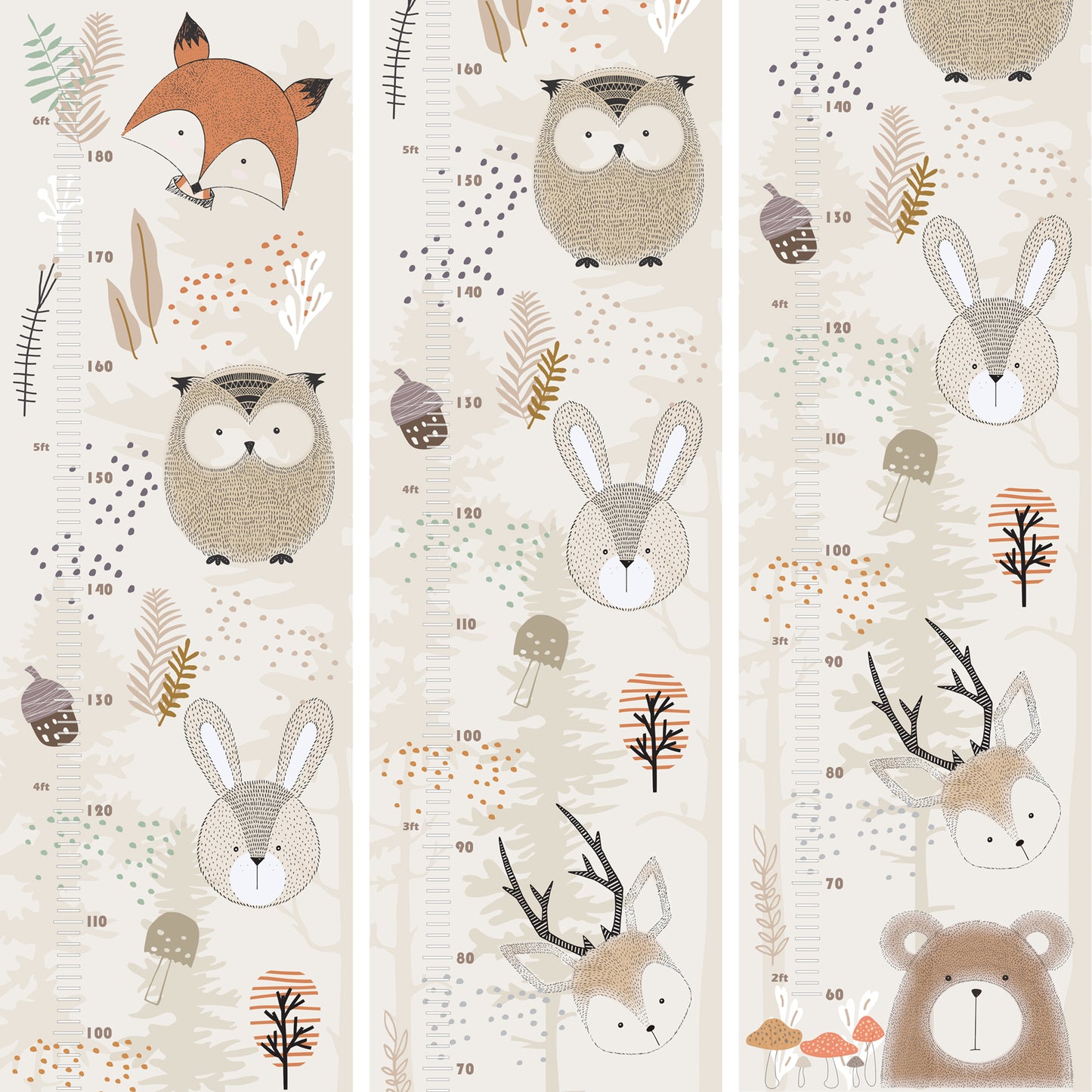 Forest animal height chart