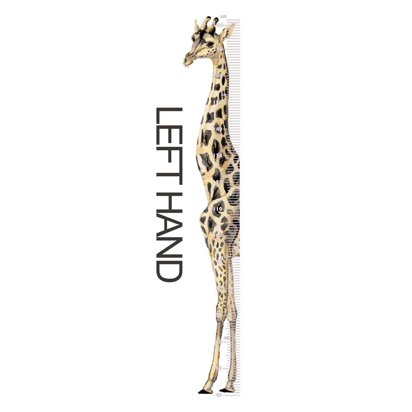 Giraffe height chart