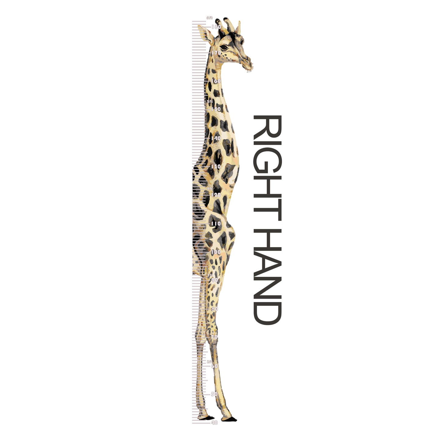 Giraffe height chart